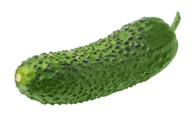 Isolated cucumber. One bended curved cucumber on white background with clipping path.