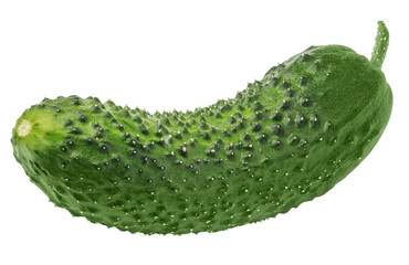 Isolated cucumber. One bended curved cucumber on white background with clipping path.