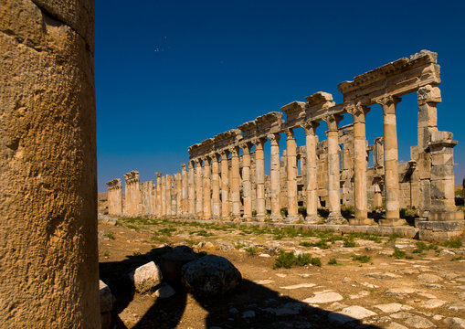 Columned Ancient Street, Apamea, Syria