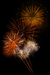 Fototapeta premium Abstract colored firework background,Fireworks light up the sky