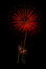 Abstract colored firework background,Fireworks light up the sky