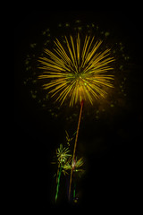 Abstract colored firework background,Fireworks light up the sky