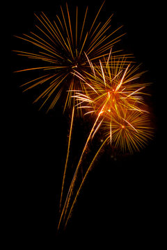 Abstract colored firework background,Fireworks light up the sky