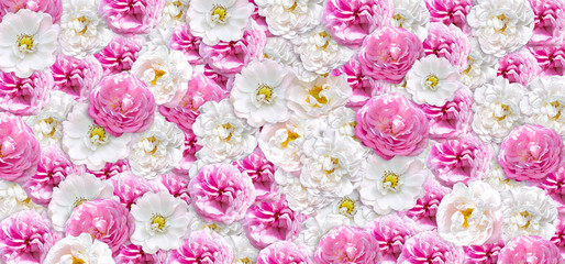 Beautiful floral background consists of pink roses and briar (dog roses) for wedding photo scene design