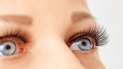 Female eyes with long false lashes. Eyelash extensions, make-up, cosmetics, beauty