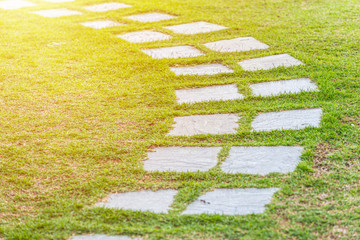 walkway or footpath across green grass field.step to business success concept.