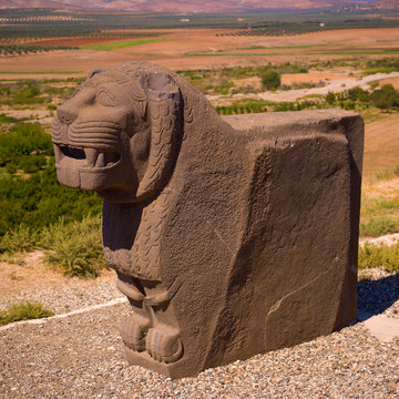 Massive Basalt Hittite Lion Carving, Syria