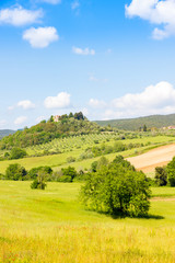 Obraz premium Sunny springtime tuscan country view near Massa Marittima , Italy