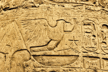 Ancient egyptian hieroglyphs in the Karnak Temple in Luxor