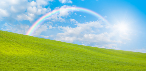 Obraz na płótnie Canvas Beautiful landscape with green grass field on the background amazing rainbow 