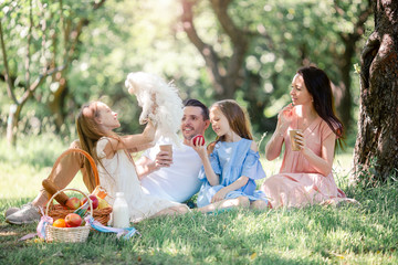 Fototapeta premium Happy family on a picnic in the park on a sunny day