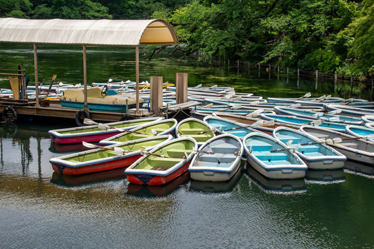 井の頭公園の池のボート