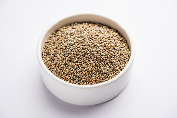 Pearl Millet or Bajra seeds also known as sorghum, in a bowl, selective focus
