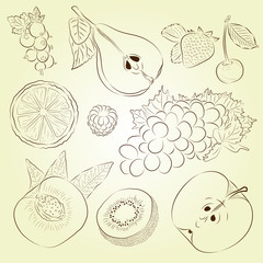 Fruits