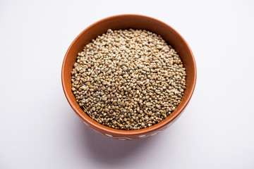 Pearl Millet or Bajra seeds also known as sorghum, in a bowl, selective focus
