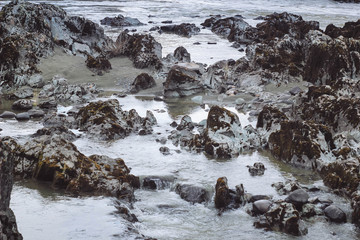 Small river flows on stones with moss. Closeup water and rock. Cloudy day, nature