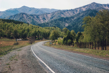 Road in green forest to mountain. Empty road without people and transport. Travel concept. Summer landscape in Altai, Siberia.