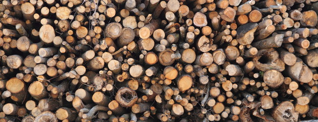 ein Stapel Feuerholz