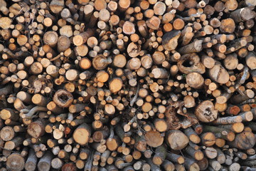 ein Stapel Feuerholz