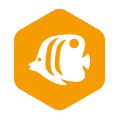 Icono plano pez tropical en hexágono color naranja