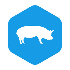 Icono plano silueta cerdo en hexágono color azul