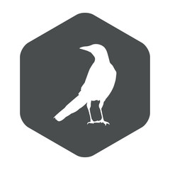 Icono plano silueta cuervo en hexágono color gris