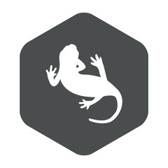 Naklejka premium Icono plano silueta salamandra en hexágono color gris