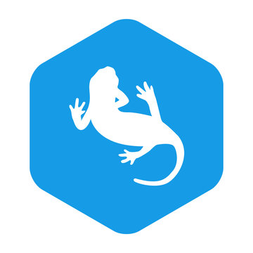 recommend clip art: Icono plano silueta salamandra en hexágono color azul