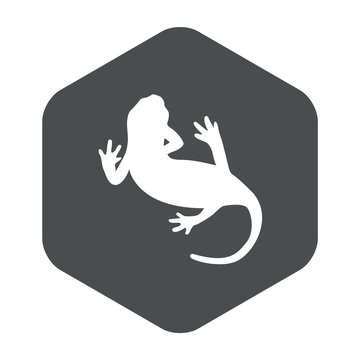 recommend clip art: Icono plano silueta salamandra en hexágono color gris