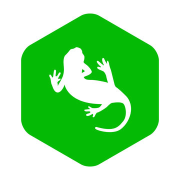 recommend clip art: Icono plano silueta salamandra en hexágono color verde