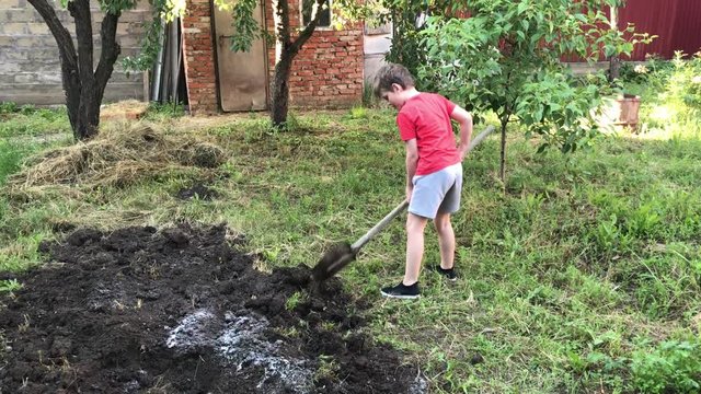 Boy digs the ground with a shovel in a red T-shirt in the garden