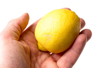 causasian hand holding one yellow organic lemon