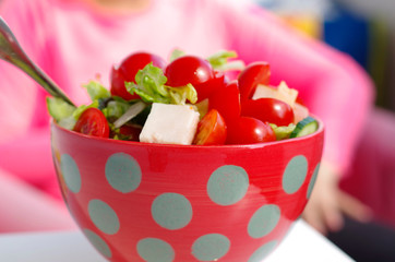 Fresh crunchy vegetables with tomato sliced radish cucumber and peppers as a salad