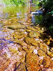 ripple current of the stream with prominent stones under the water