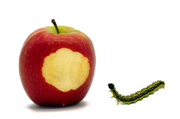 Apfel und Raupe freigestellt auf weißem Hintergrund