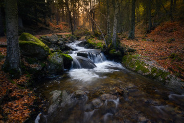 Water 4