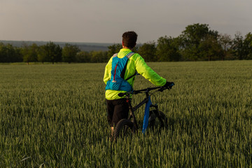Naklejka na ściany i meble The cyclist rides on mtb. Freerider rides off-road through a wheat field. Athlete in training. Aggressive sports. Extreme recreation.