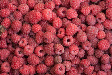 Fresh and sweet raspberries
