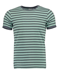 Man's striped t-shirt gray and green. Isolated image on white background. Men's clothing.