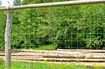 Stack of wood cut in the woods, seen through a wire fence.