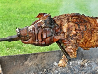 Close up of a head of a rooster pork (barbecue) in the garden.