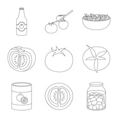 Vector design of tomat and diet icon. Set of tomat and agriculture stock symbol for web.