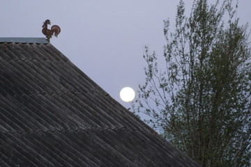 Летняя луна