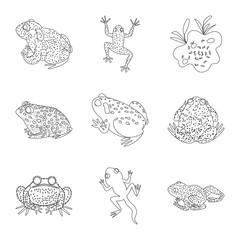 Isolated object of amphibian and animal icon. Set of amphibian and nature stock symbol for web.
