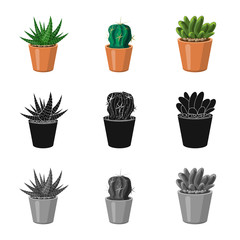 Isolated object of cactus and pot icon. Collection of cactus and cacti stock vector illustration.