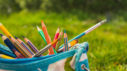 Back to school concept.Colorful pencils and painting brushes in pencils pouch on natural green grass background