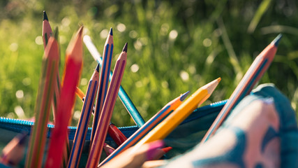 Back to school concept. Colorful school supplies in pencil pouch on natural green grass background