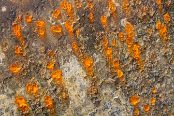 Rust metal grunge texture close up