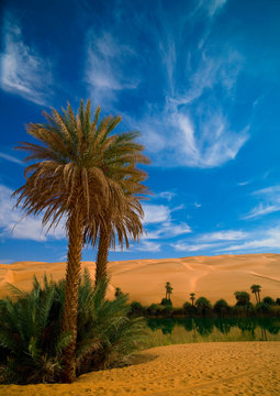 Mandara Lakes in the dunes of Ubari, oasis Um el Ma, libyan desert, Libya.