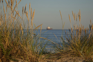 Gräser am Strand beim Sonnenuntergang mit Schiff im Hintergrund - Grasses on the beach at sunset with ship in the background